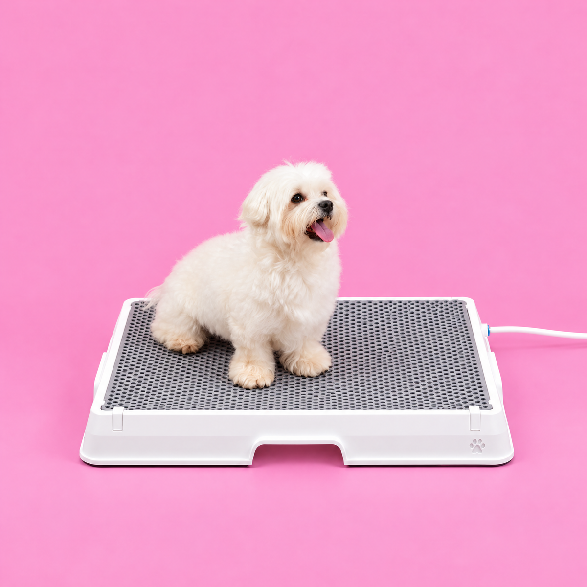 Petzy Smart Dog Potty