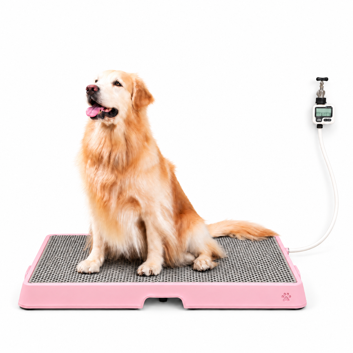 Petzy Smart Dog Potty in Pink with a dog sitting on the raised grate