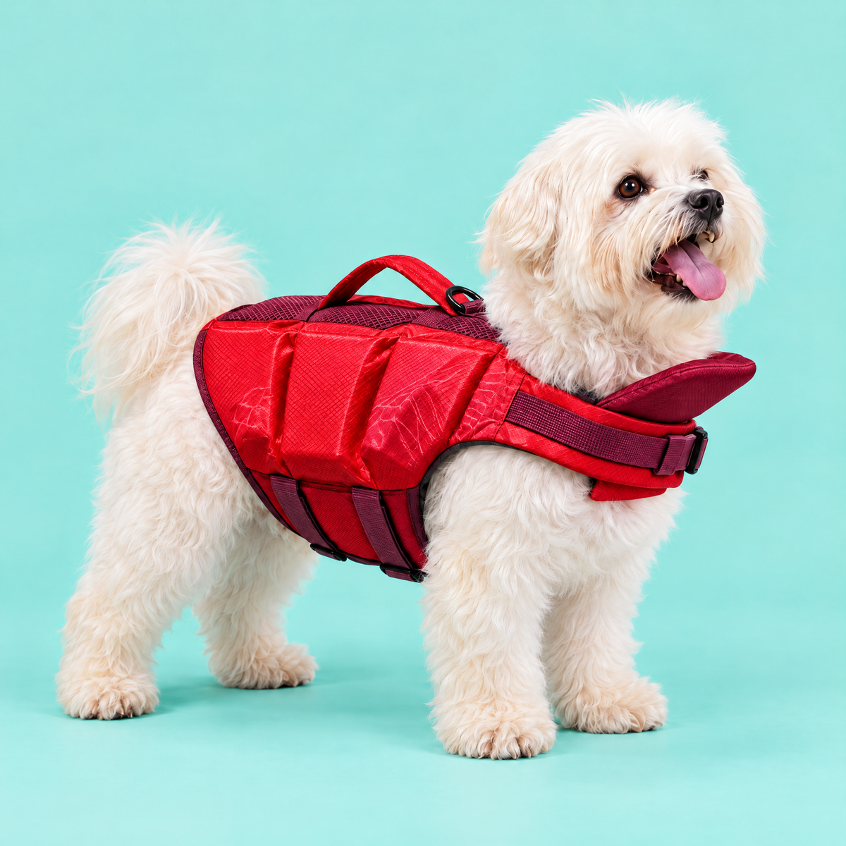 Dog wearing the Petzy Dog Pool Jacket in Red