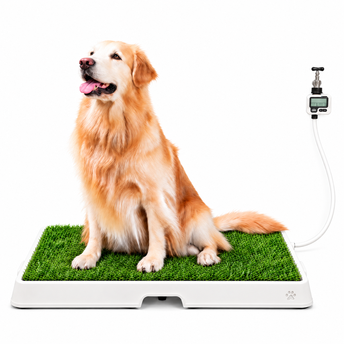 Petzy Smart Dog Potty in Beige with grass top, large dog