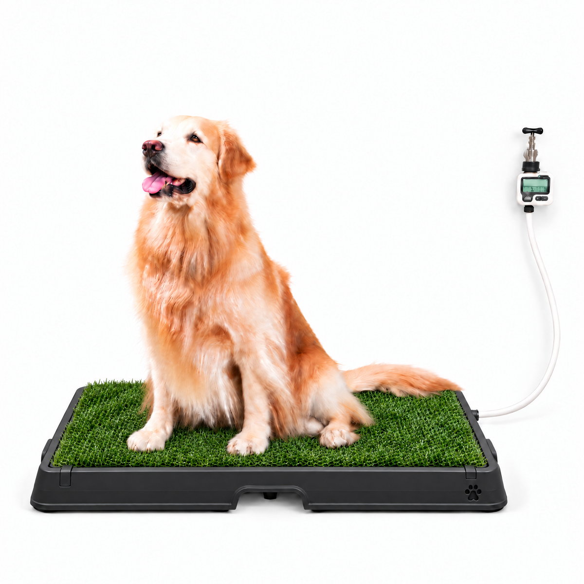 Petzy Smart Dog Potty in All Black with grass top, large dog