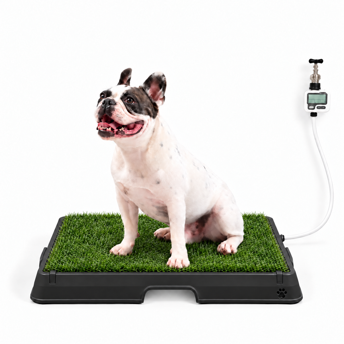 Petzy Smart Dog Potty in All Black with grass top, medium dog