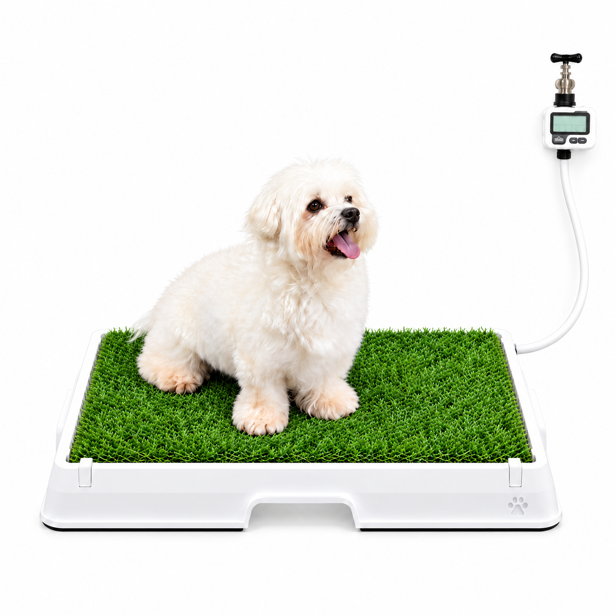 Petzy Smart Dog Potty in Beige with grass top, small dog