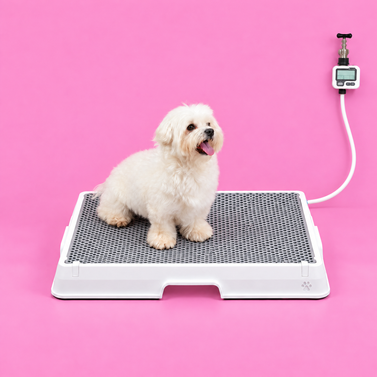 Petzy Smart Dog Potty with a dog sitting on the raised grate