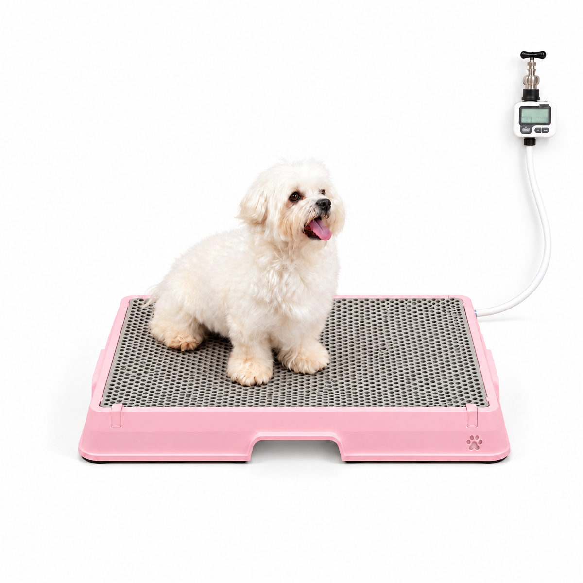 Petzy Smart Dog Potty in Pink with a dog sitting on the raised grate