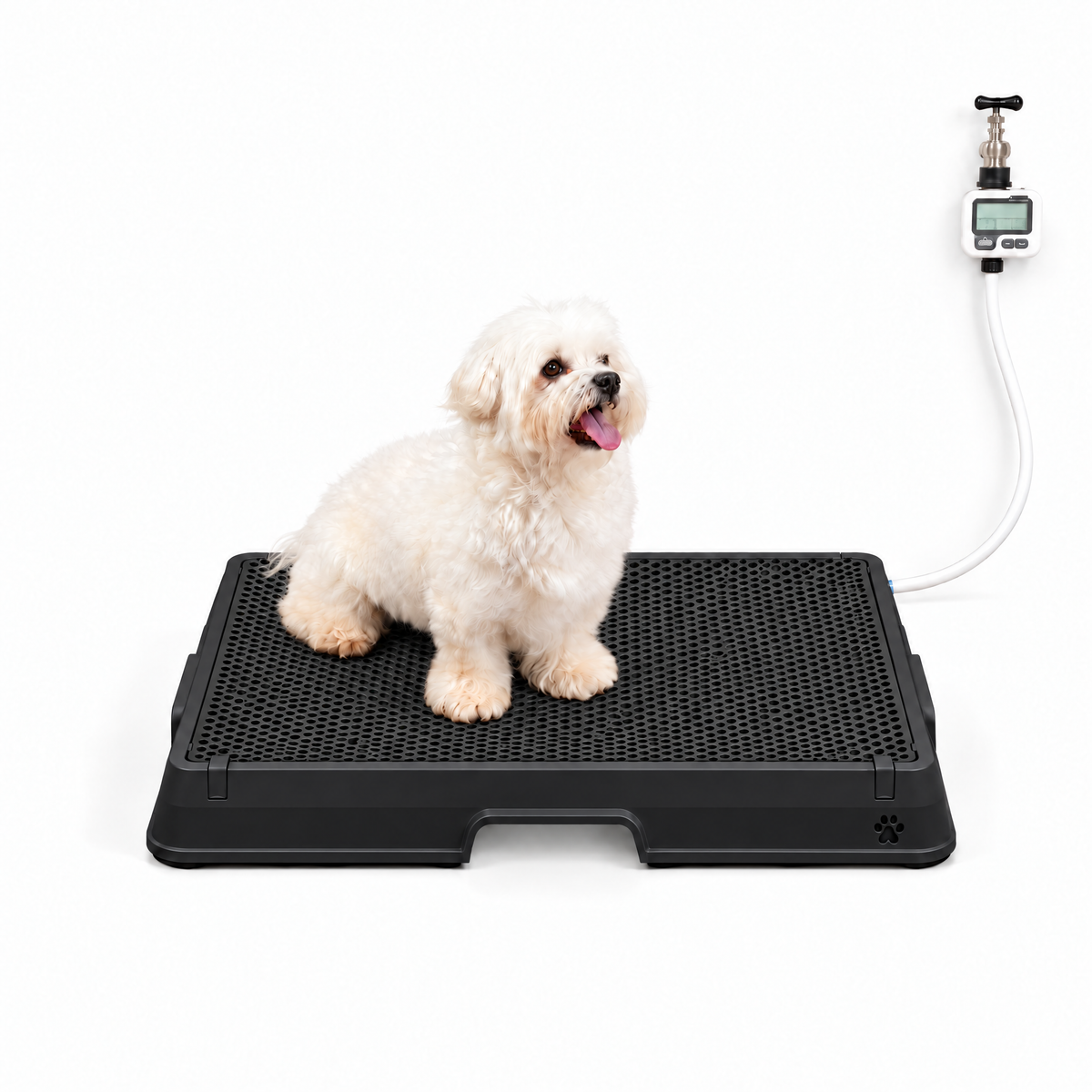 Petzy Smart Dog Potty in All Black with a dog sitting on the raised grate