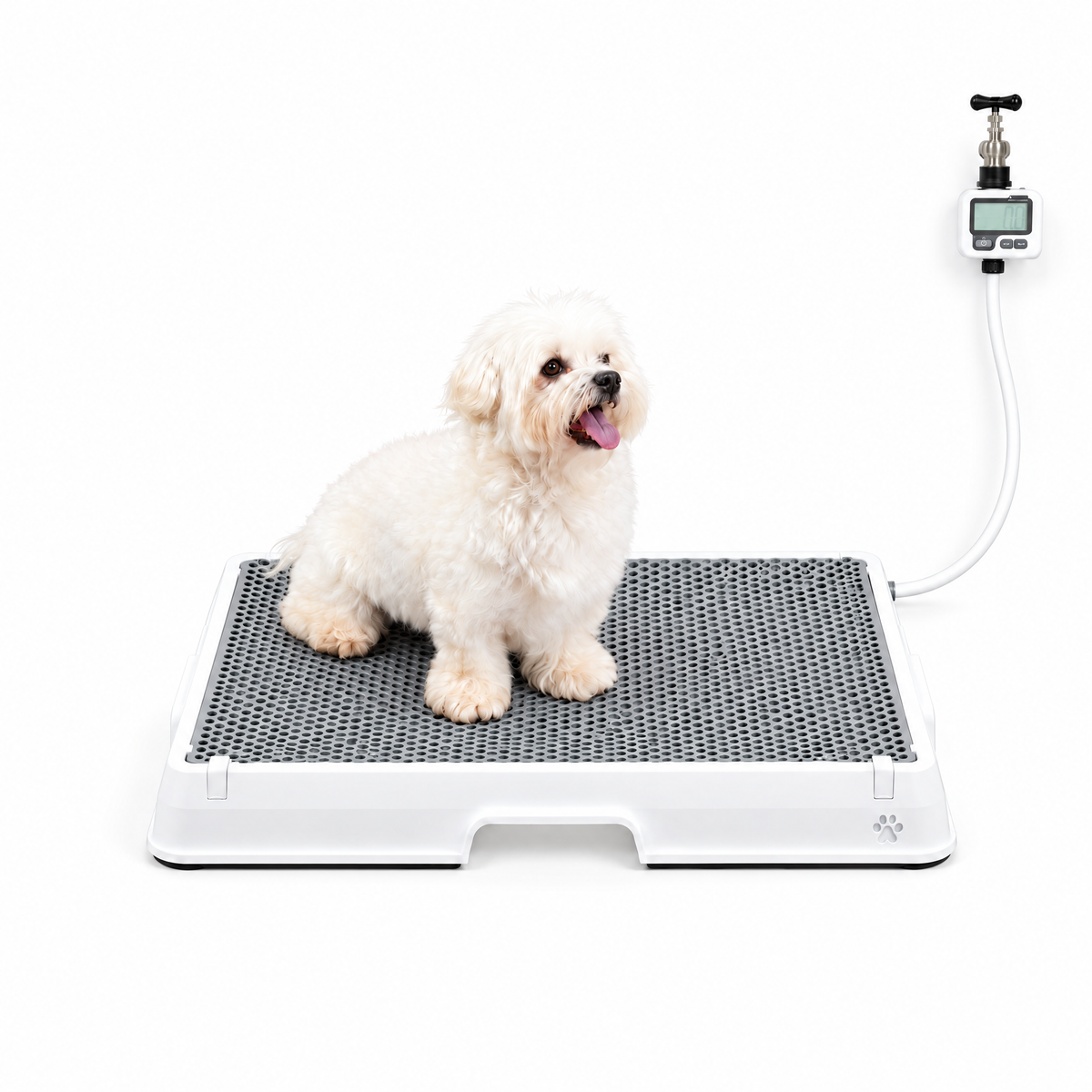 Petzy Smart Dog Potty in Beige with a dog sitting on the raised grate