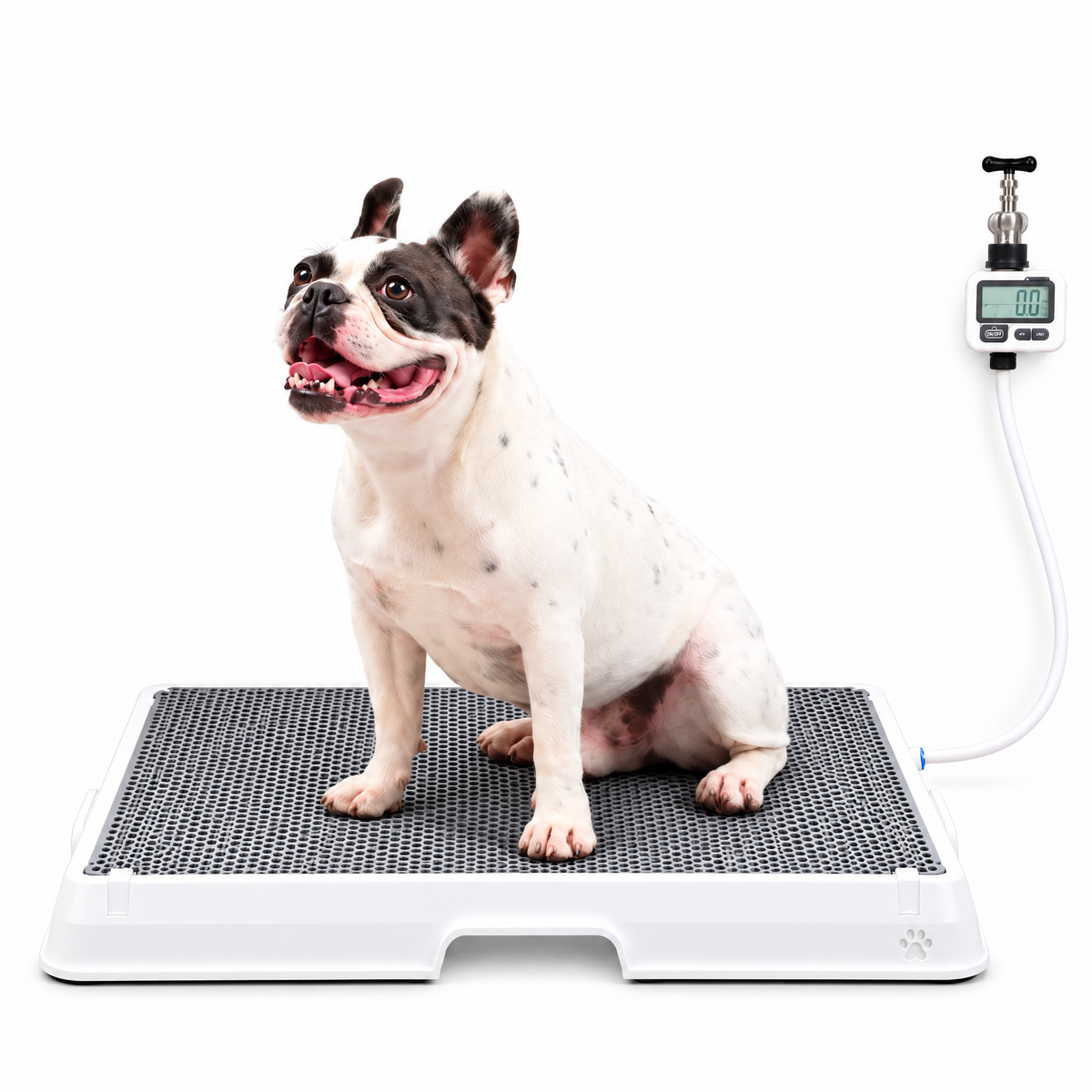 Petzy Smart Dog Potty in Beige with a dog sitting on the raised grate