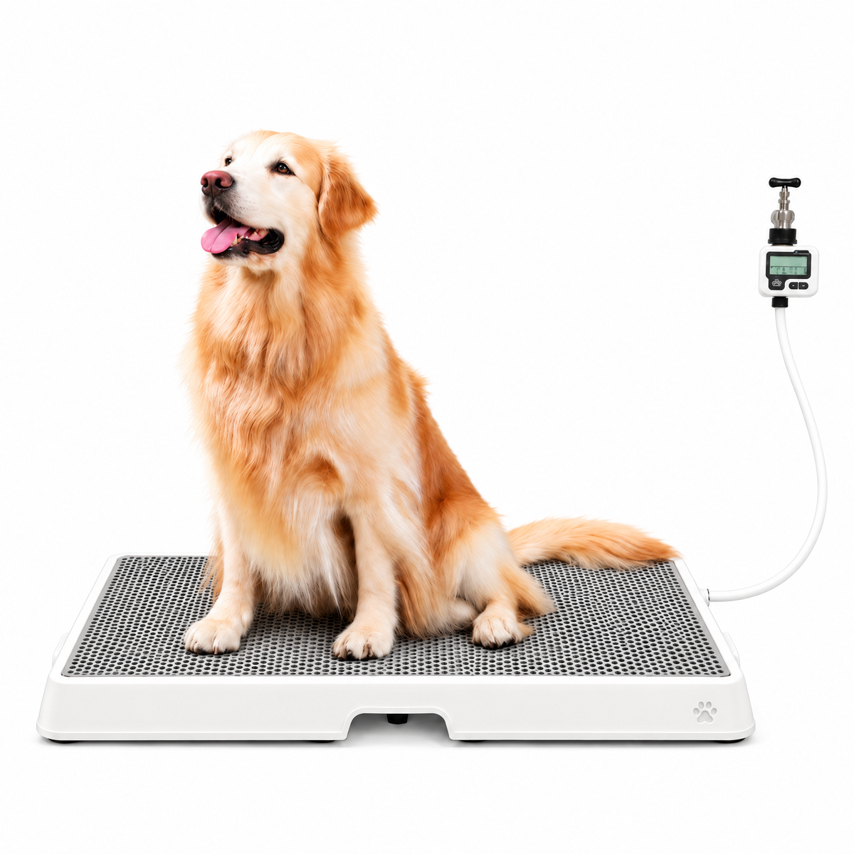 Petzy Smart Dog Potty in Beige with a dog sitting on the raised grate