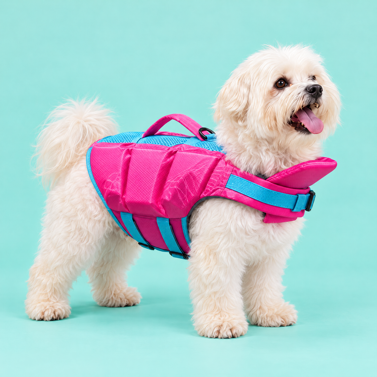 Dog wearing the Petzy Dog Pool Jacket in Pink