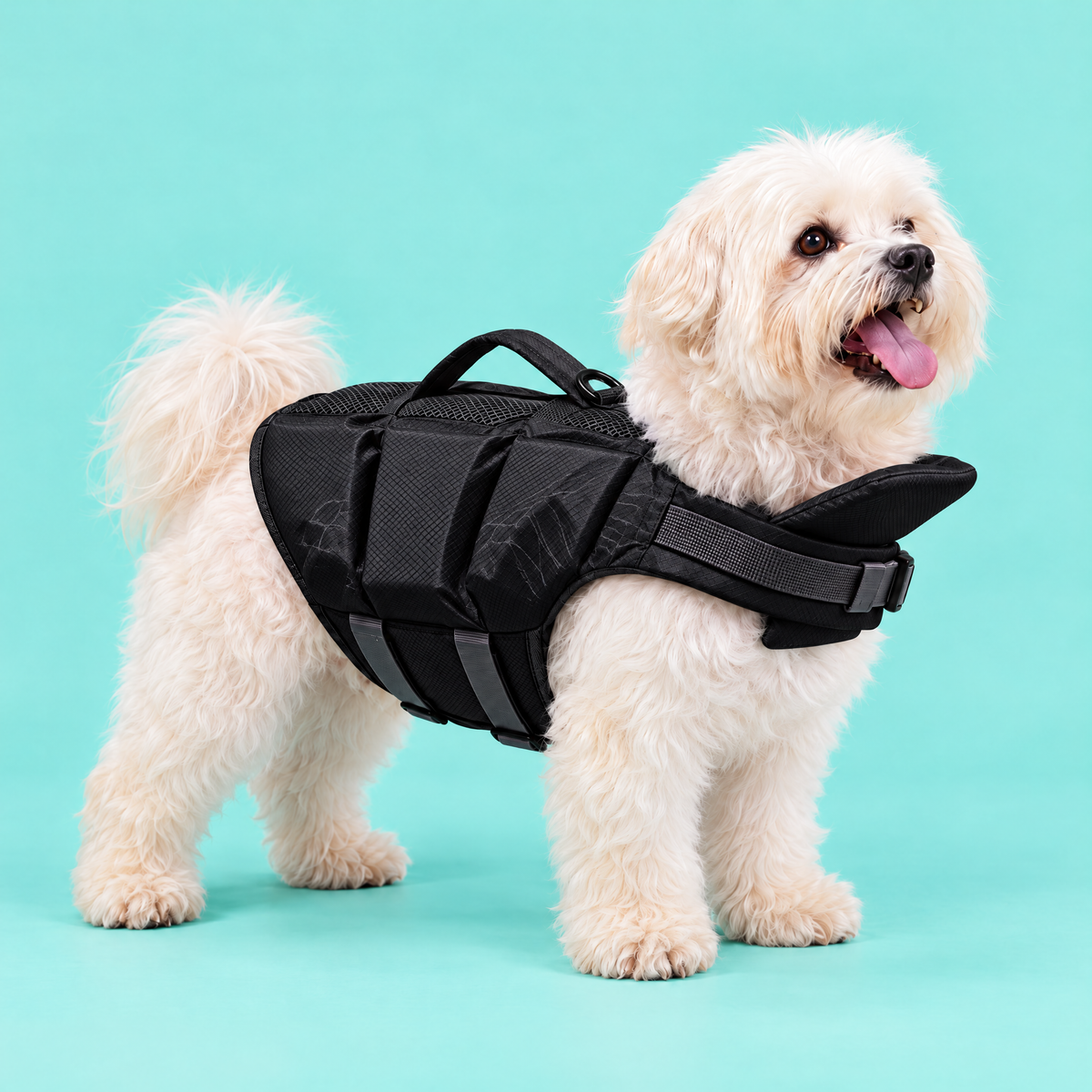 Dog wearing the Petzy Dog Pool Jacket in Black