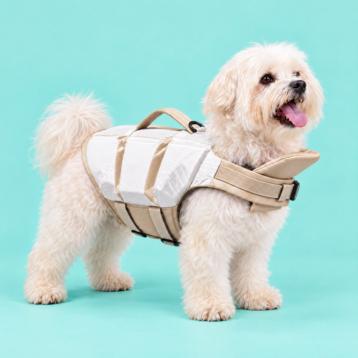 Dog wearing the Petzy Dog Pool Jacket in White