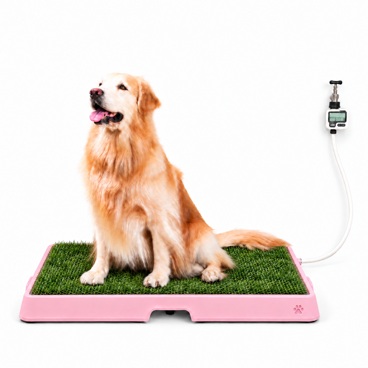 Petzy Smart Dog Potty in Pink with grass top, large dog