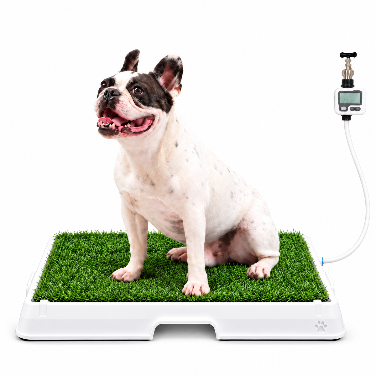 Petzy Smart Dog Potty in Beige with grass top, medium dog