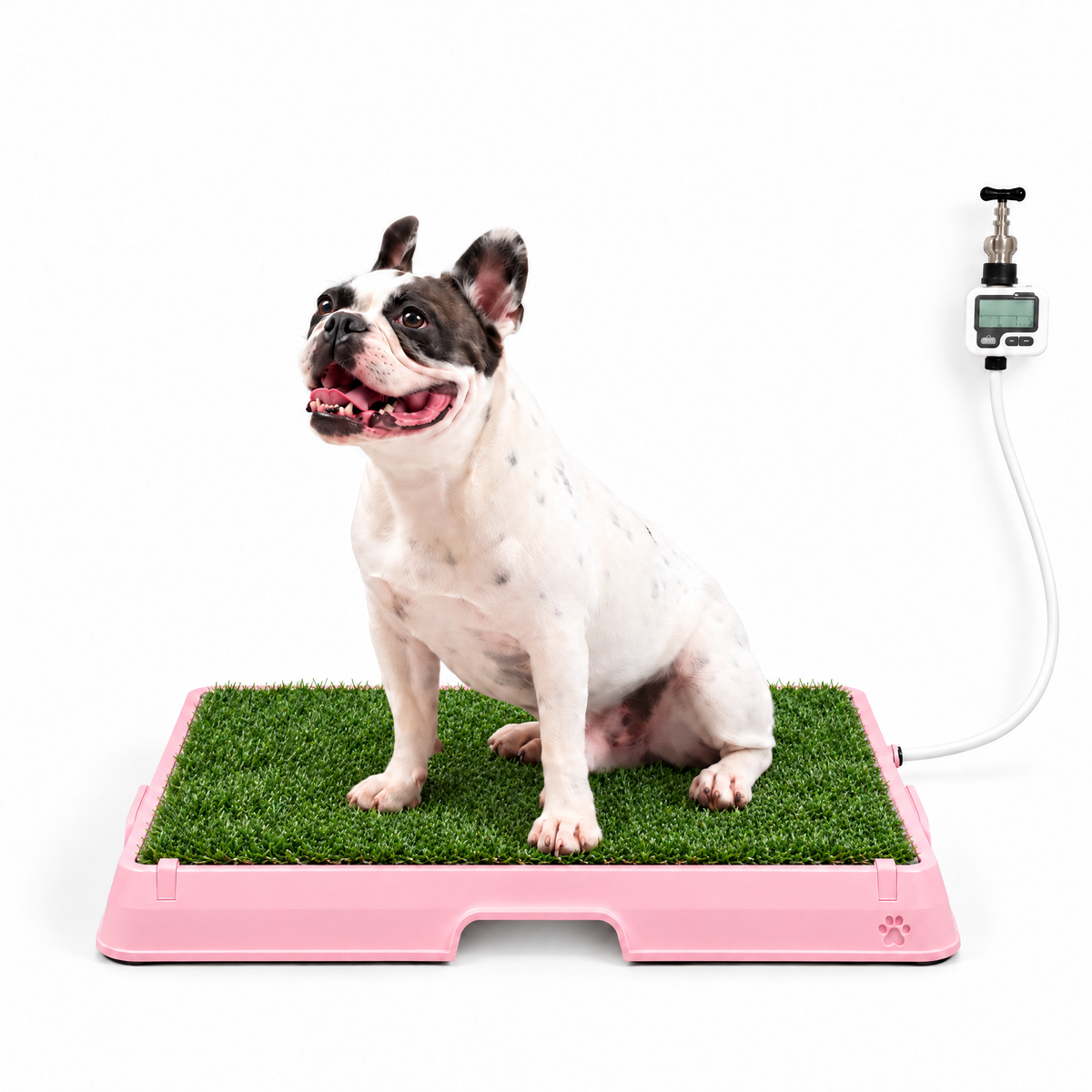 Petzy Smart Dog Potty in Pink with grass top, medium dog