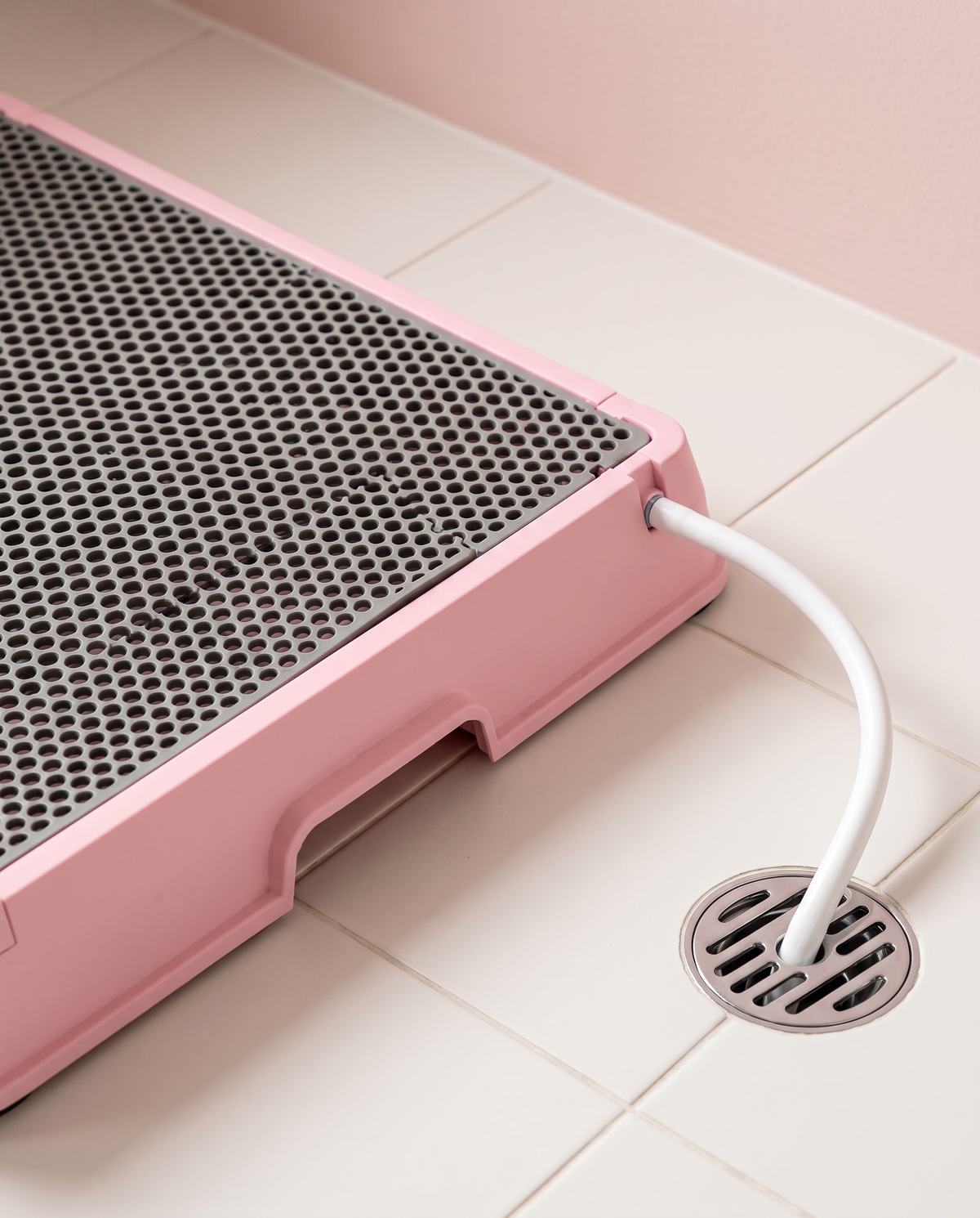 The pink Petzy Smart Dog Potty with its hose running into a bathroom floor drain